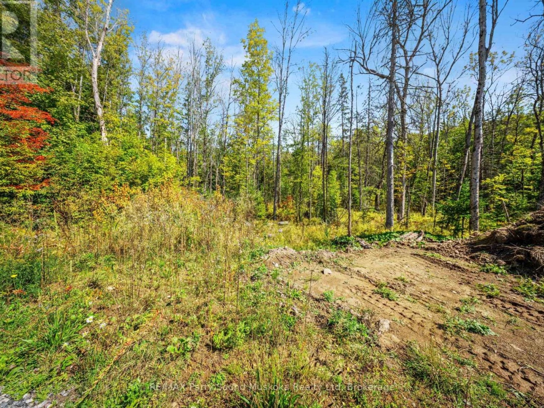 40 SUNSET COVE ROAD, 