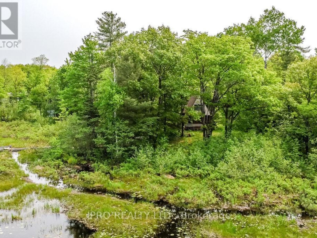 382 Corrievale Road, Little Lake