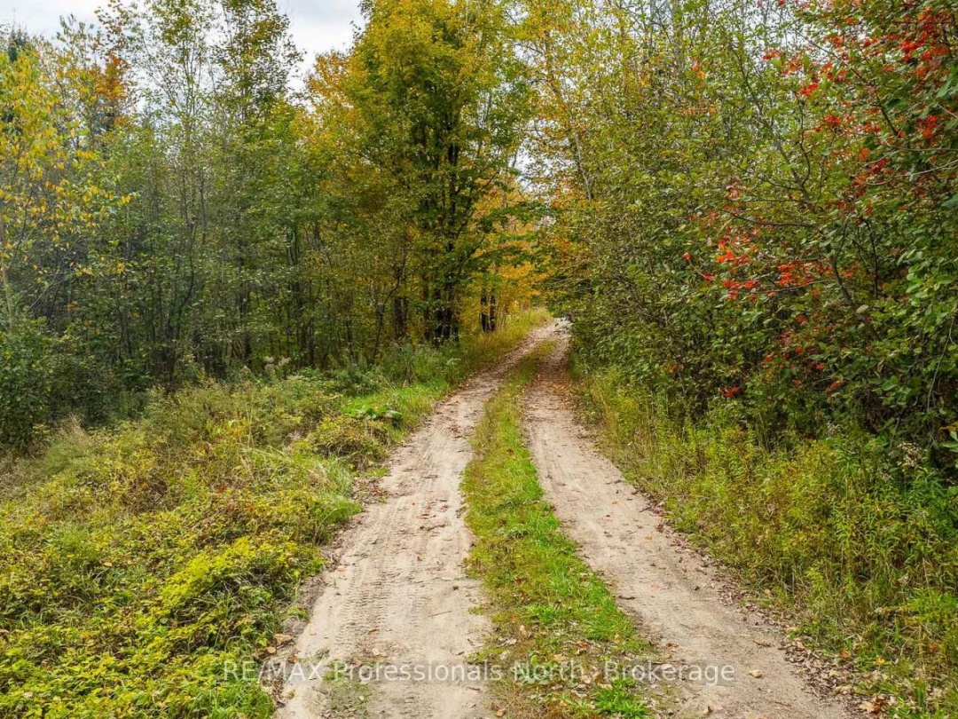 1600 BOBCAYGEON ROAD, 