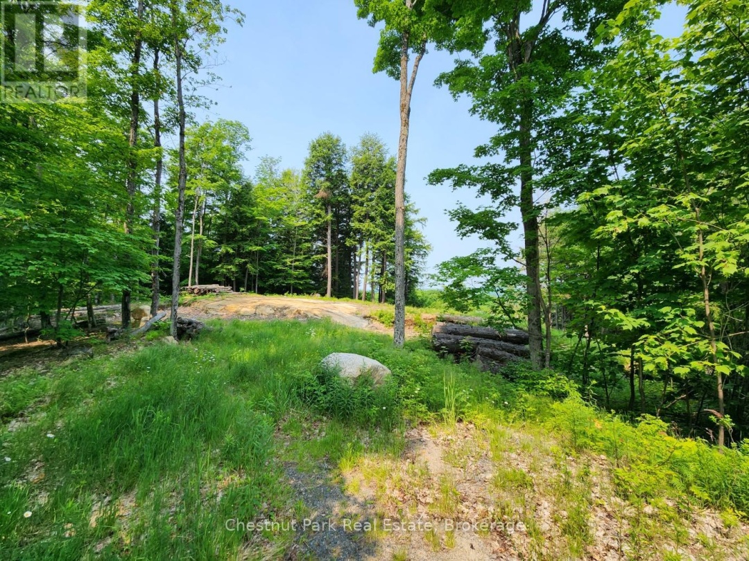 19 OLD HEMLOCK TRAIL, 