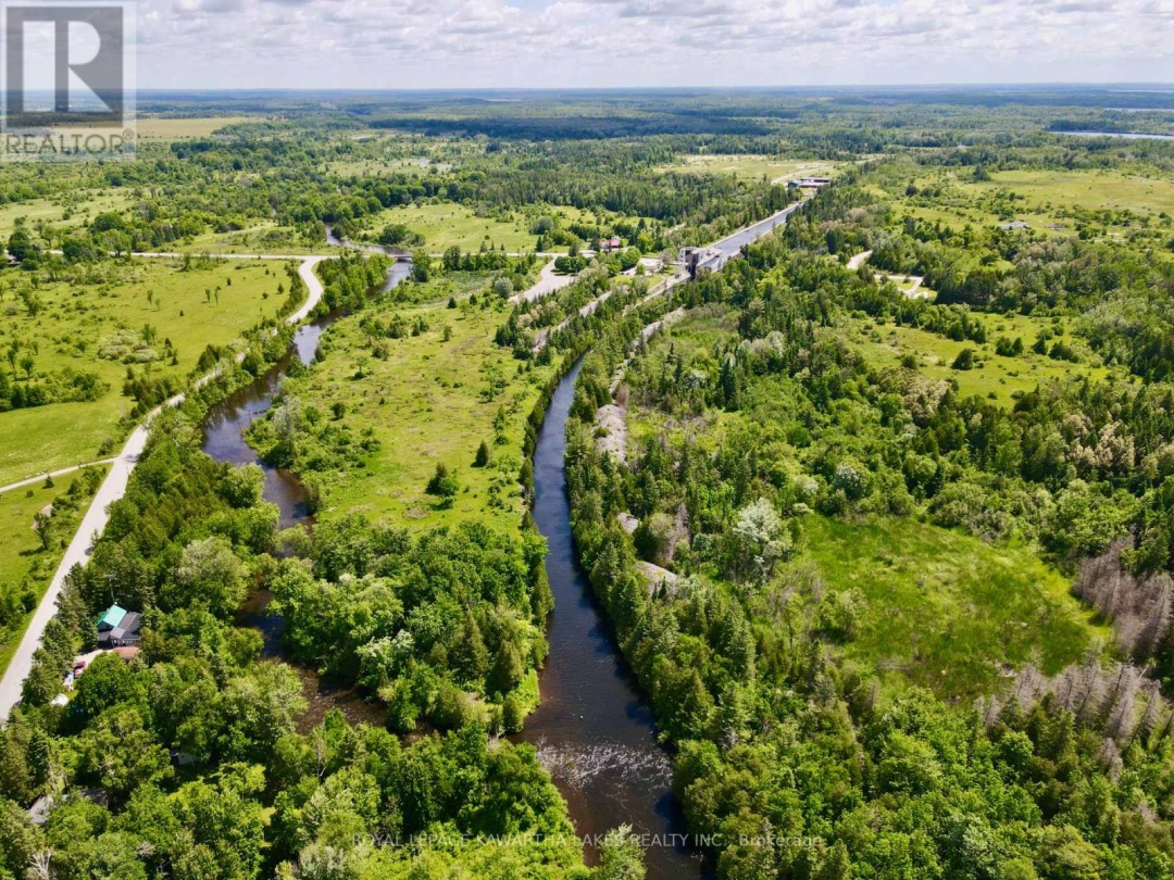81 Mcguire Beach Road, Trent-severn Waterway