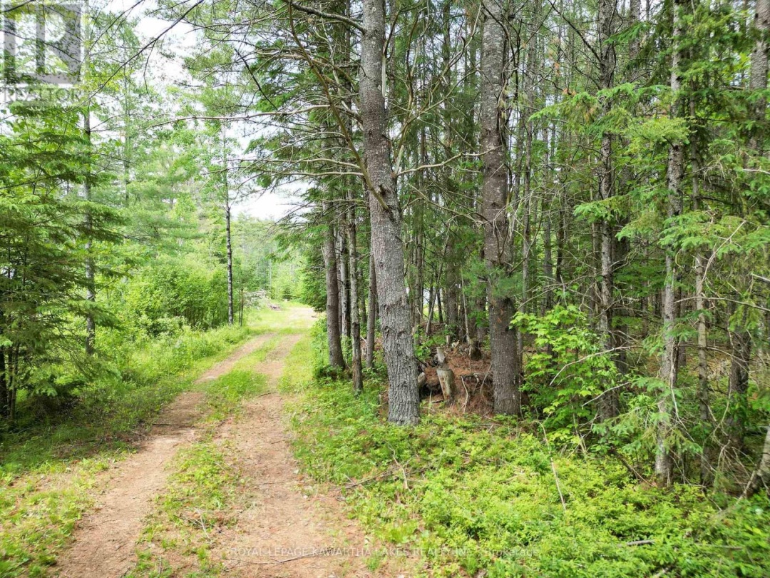 LOT 8 WATSON DRIVE, 
