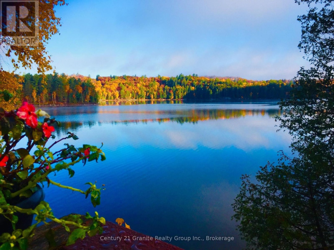 1208 Reg's Trail, Drag Lake