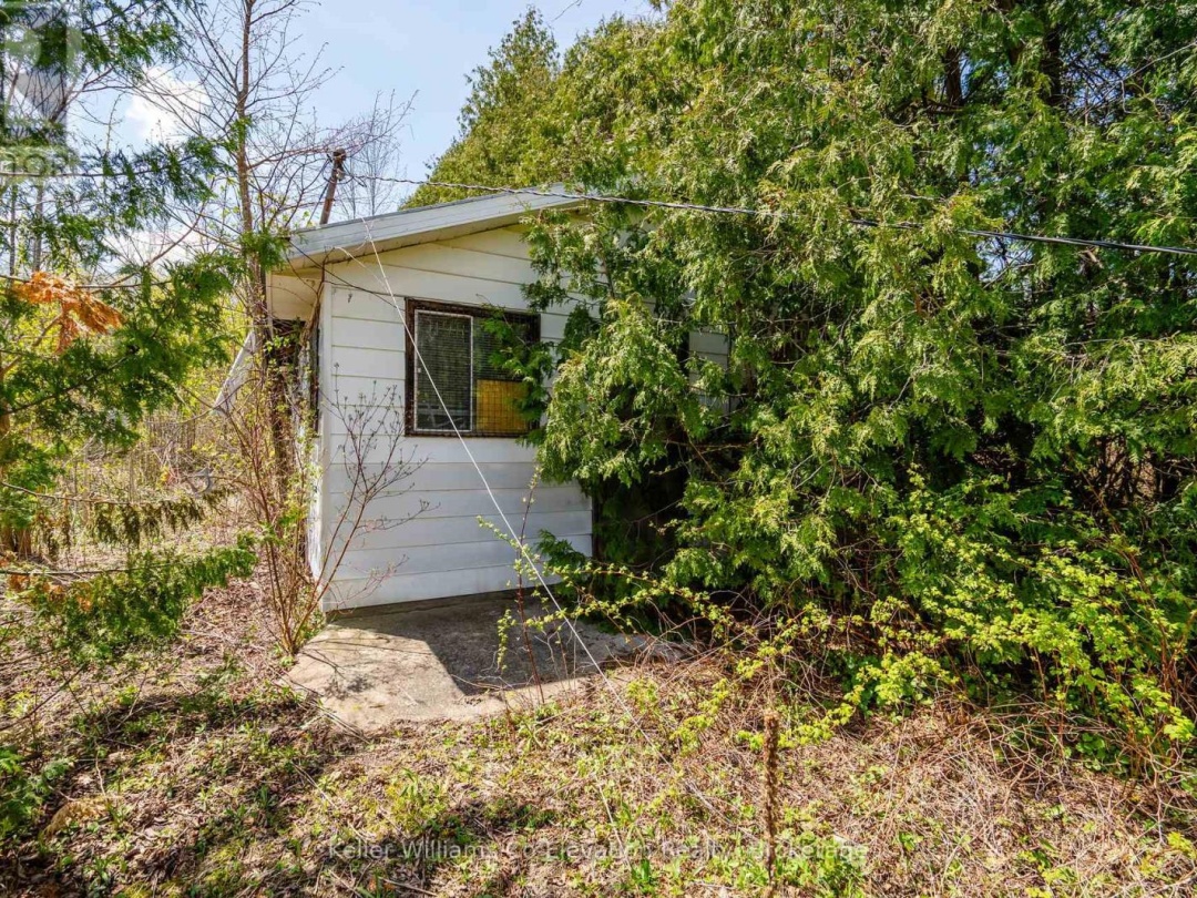 12824 COUNTY ROAD 16 ROAD, 