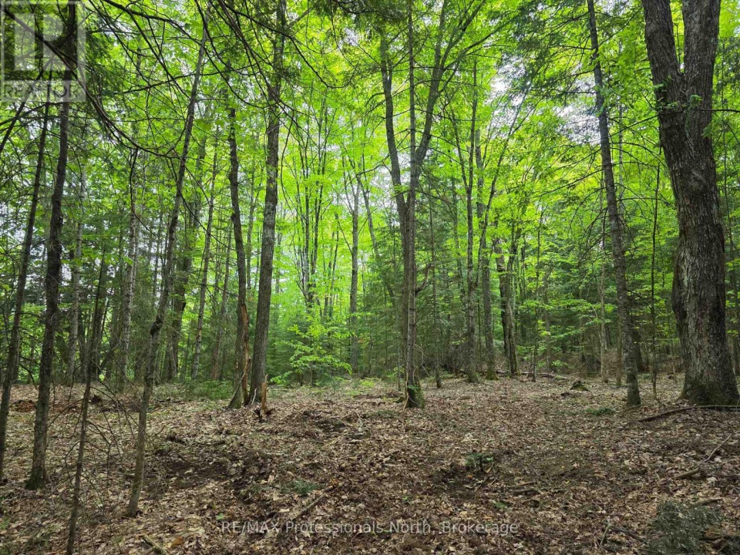 0 25Th Line Road, Algonquin Highlands (Stanhope)