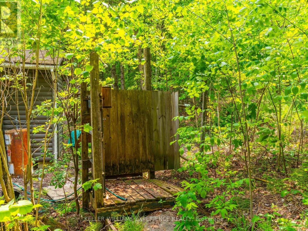 1049 Elsie Bay Road, Horseshoe Lake