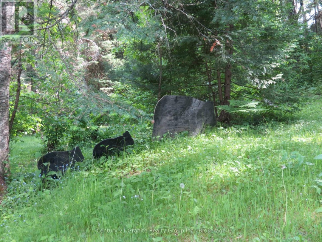 10208 COUNTY RD 503 ROAD, 