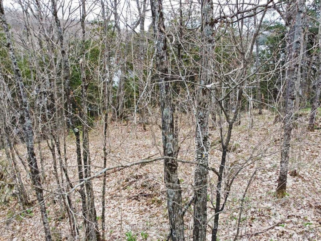 Lot 1 Shields Drive, Horseshoe Lake
