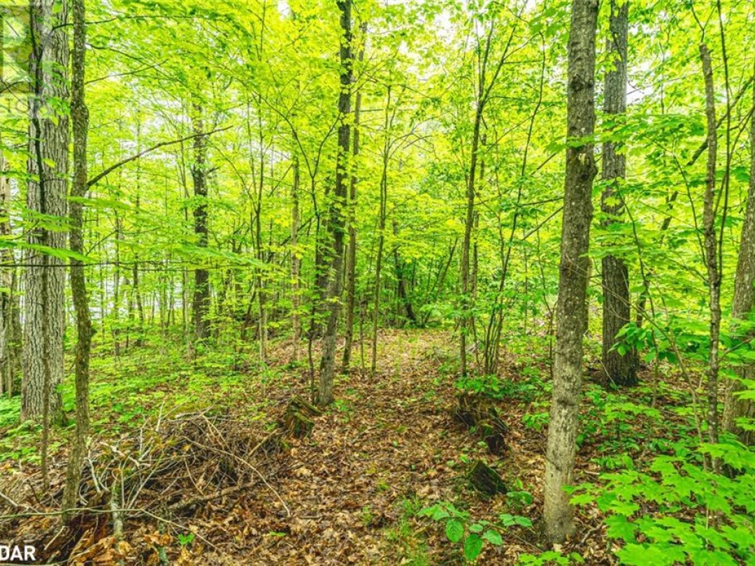 2 IS 880 GEORGIAN BAY, 
