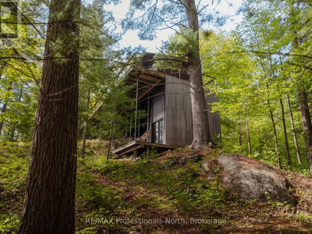11405 DRAG LAKE EAST SHORE, 