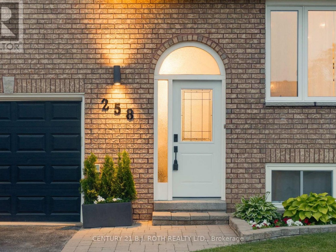 258 COLLEGIATE DRIVE, 