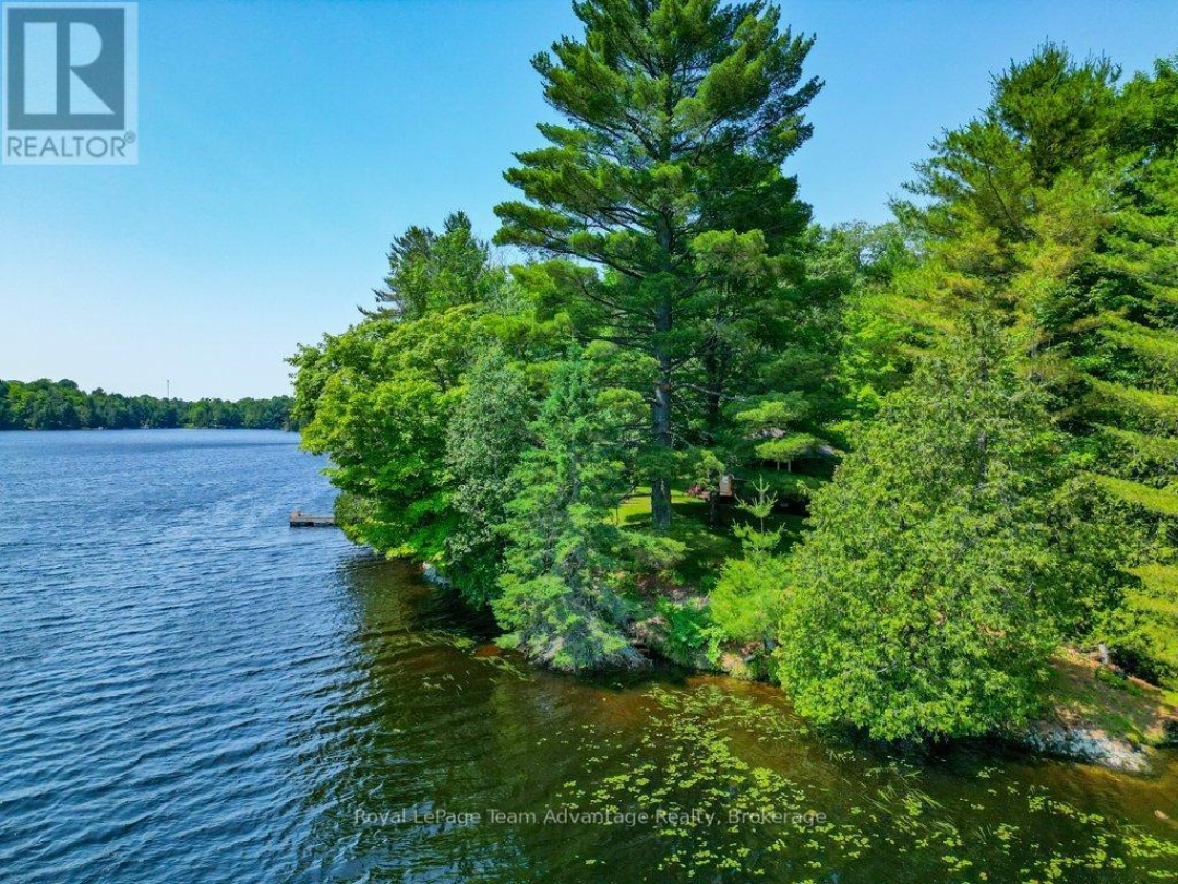 11 BIRCH LANE, 