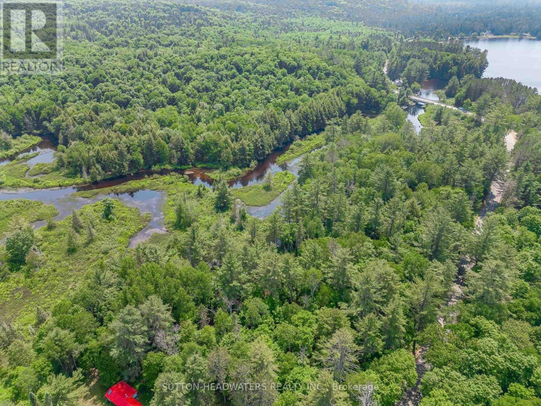 3997 Ravenscliffe Road, Buck Lake