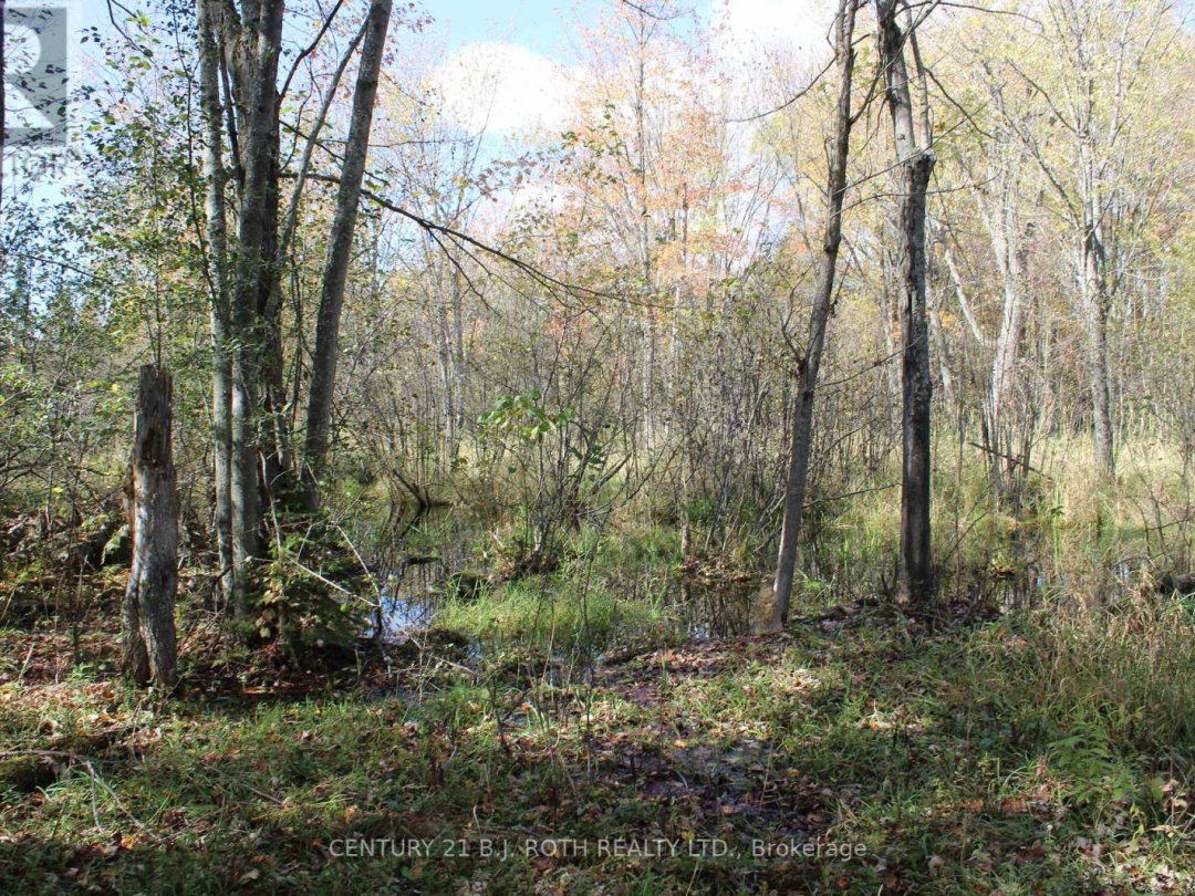 388 WOODLAND DRIVE, Oro-Medonte