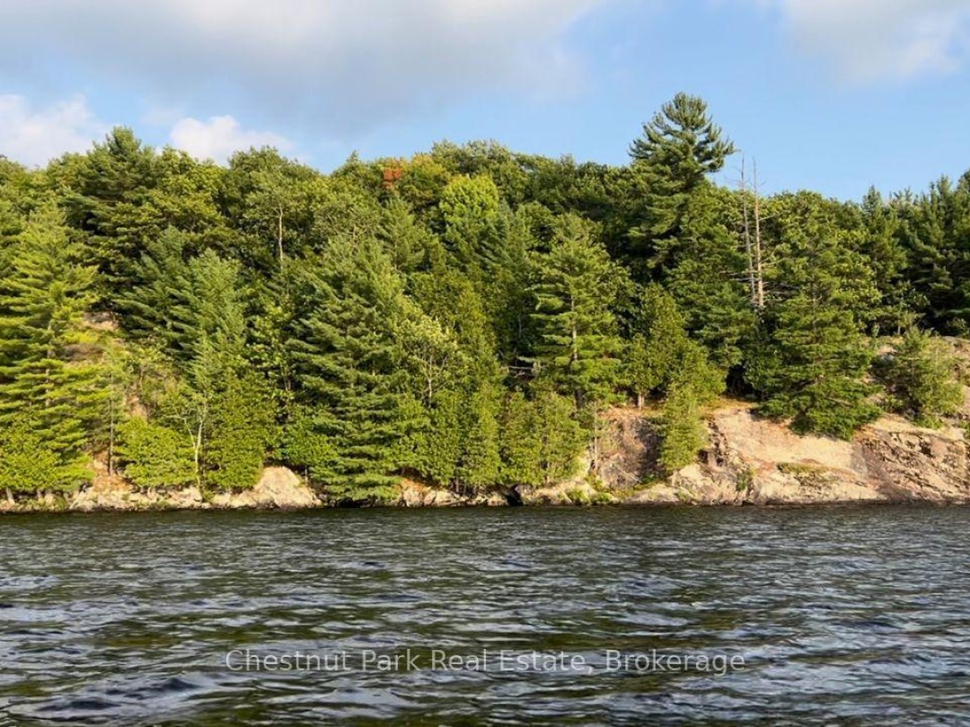 920 Big Island, Lake Vernon