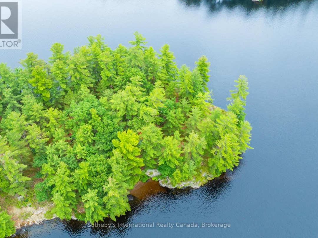 16Lk 1 Wolf Island, Kahshe Lake