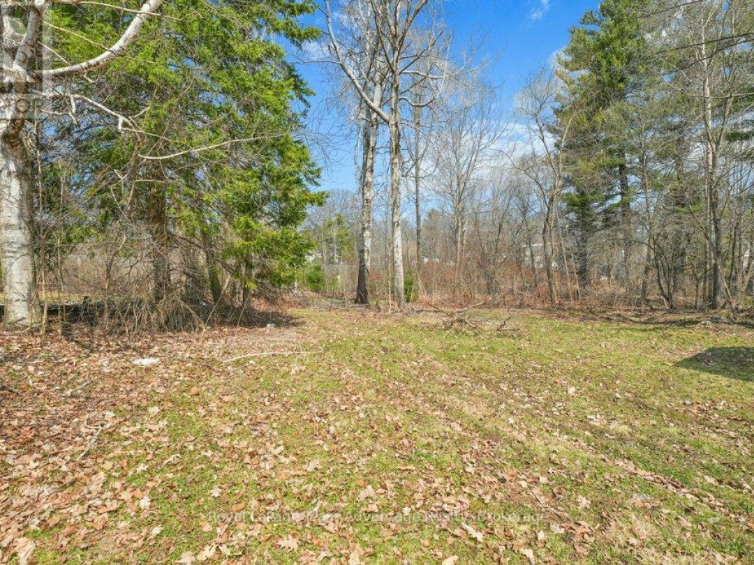66 WILLIAM STREET, Parry Sound