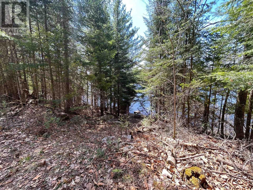 1202 Poverty Bay Trail, Soyers Lake