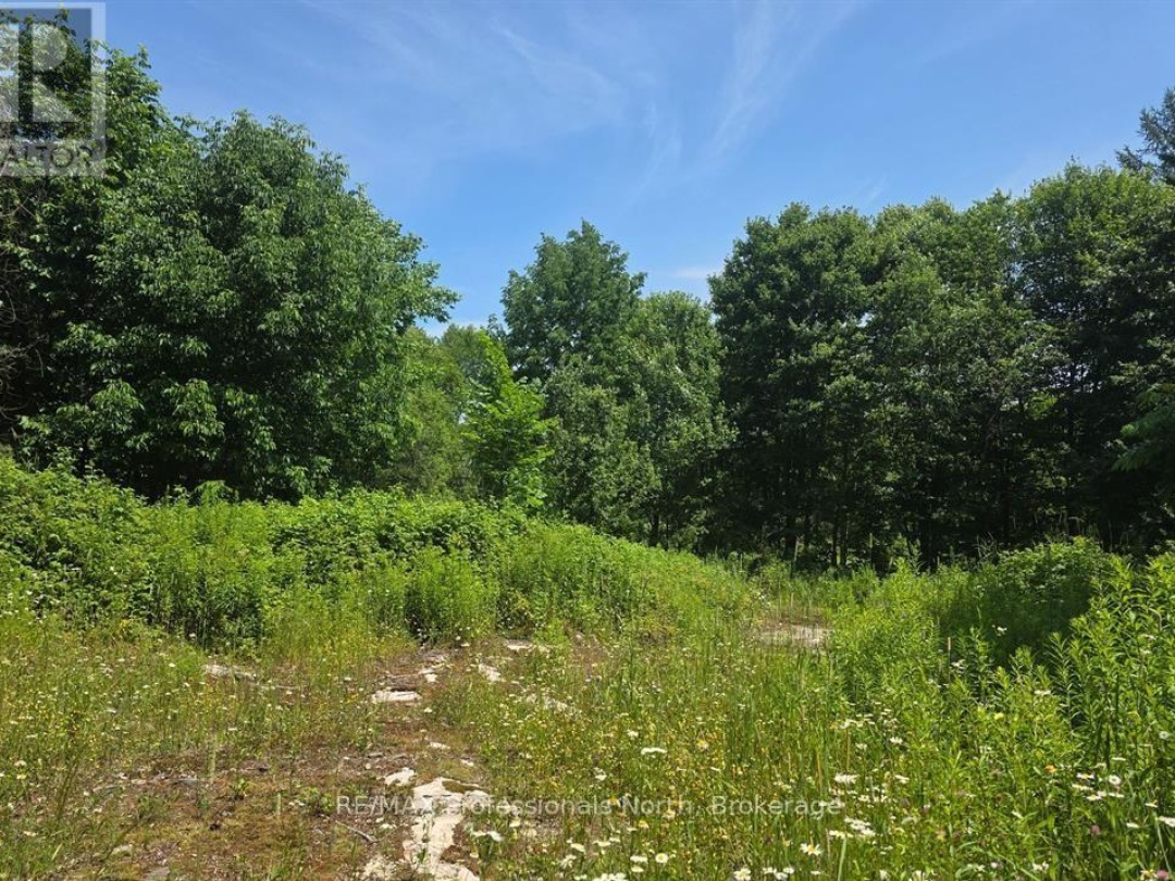 1134 WALKERS LINE ROAD, 