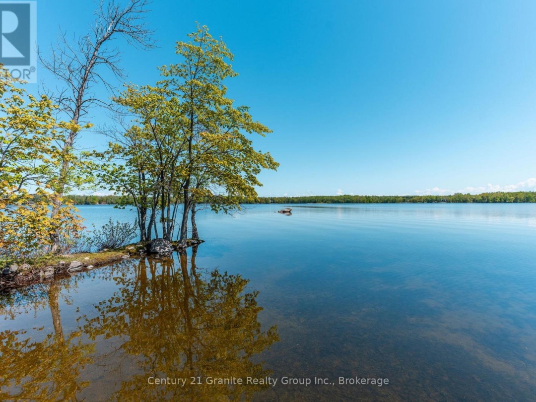 359 Avery Point Road, Dalrymple Lake