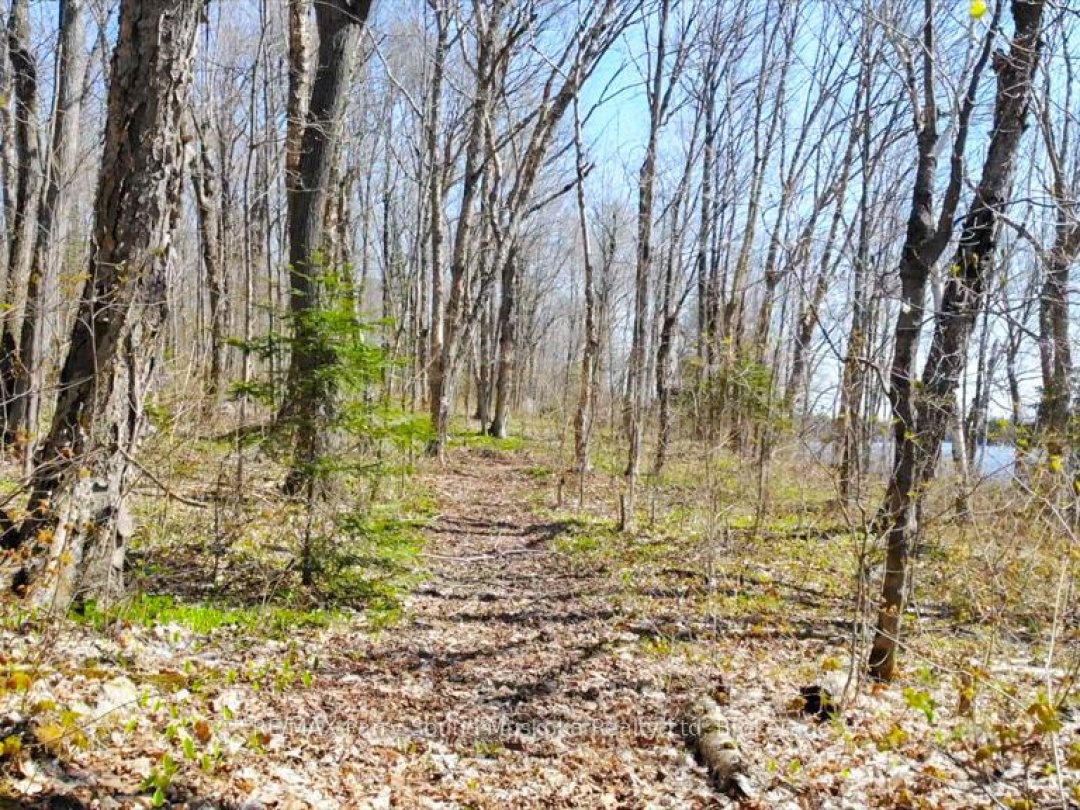550 Shawanaga Lake, Shawanaga Lake