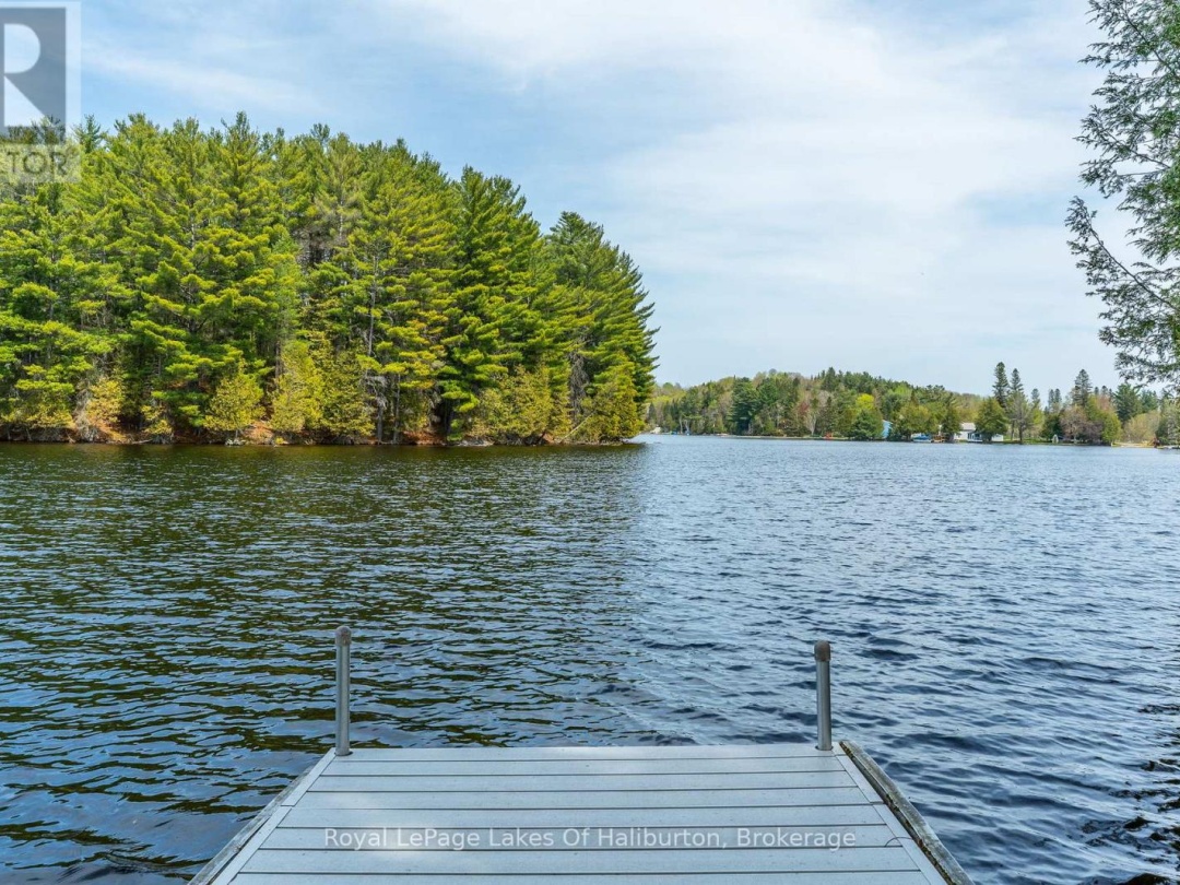 1089 PIONEER ROAD, Gooderham Lake