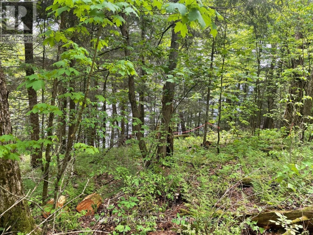 0 MINNOW DRIVE, Kennisis Lake