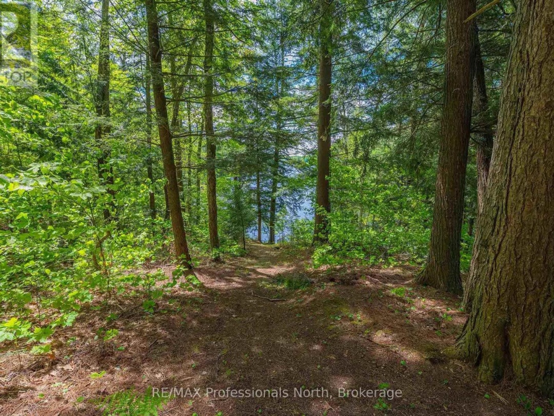 1023 Maiden Trail, Bob Lake