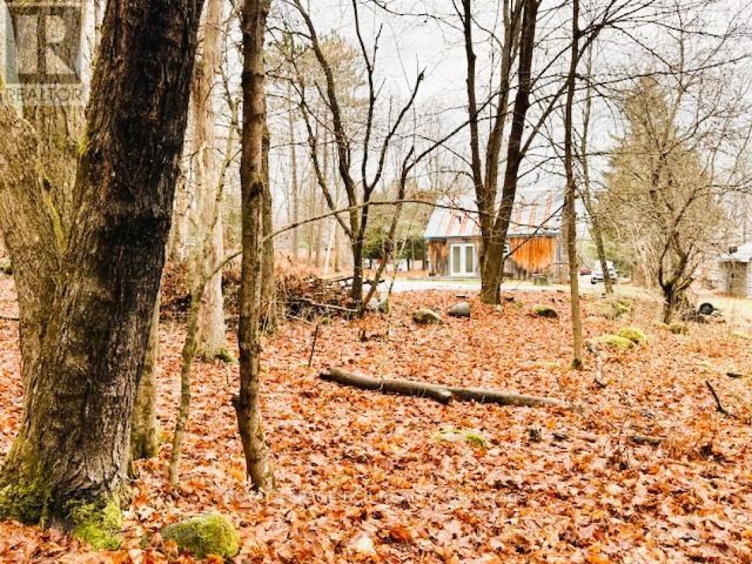 89 TOWN LINE ROAD W, 