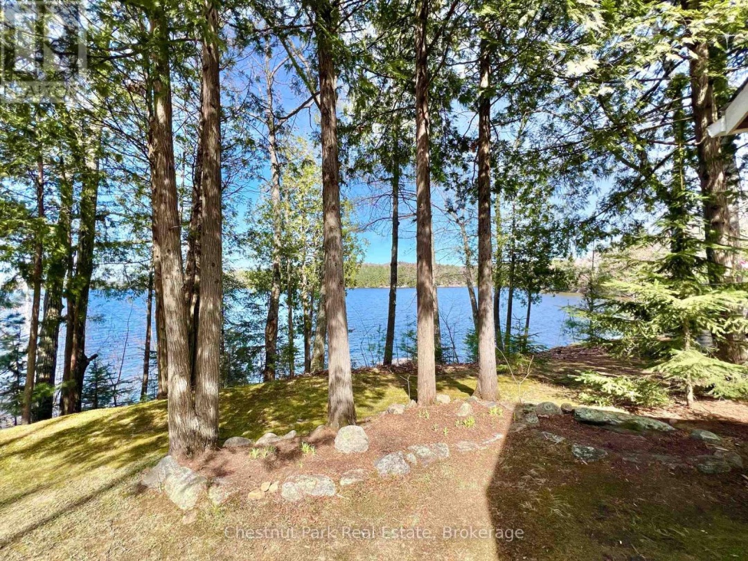 1036 Abbey Lane, Boshkung Lake