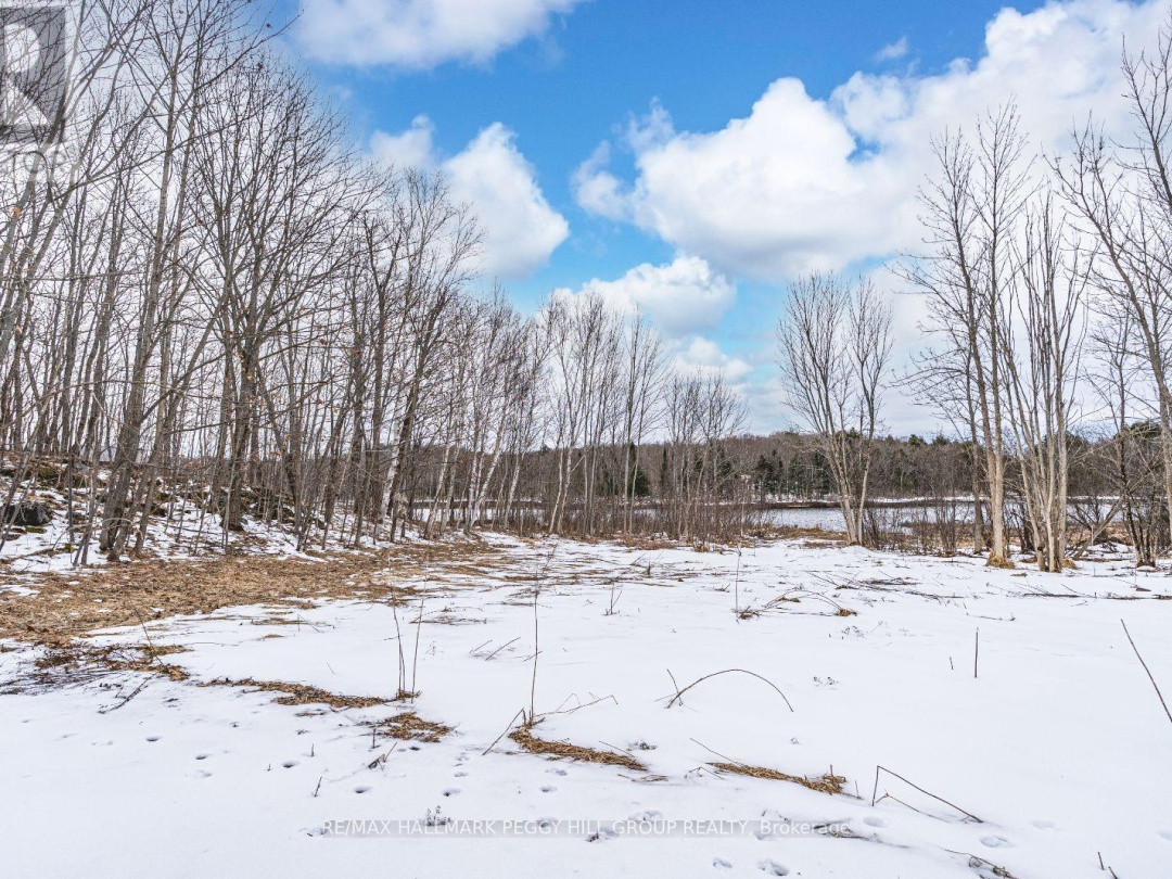 91B HIGHWAY 124, 