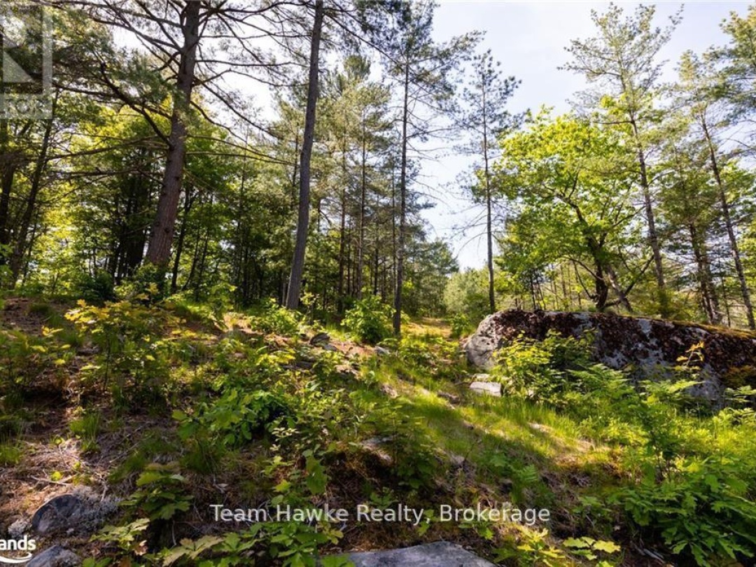 6528 Severn River, Georgian Bay