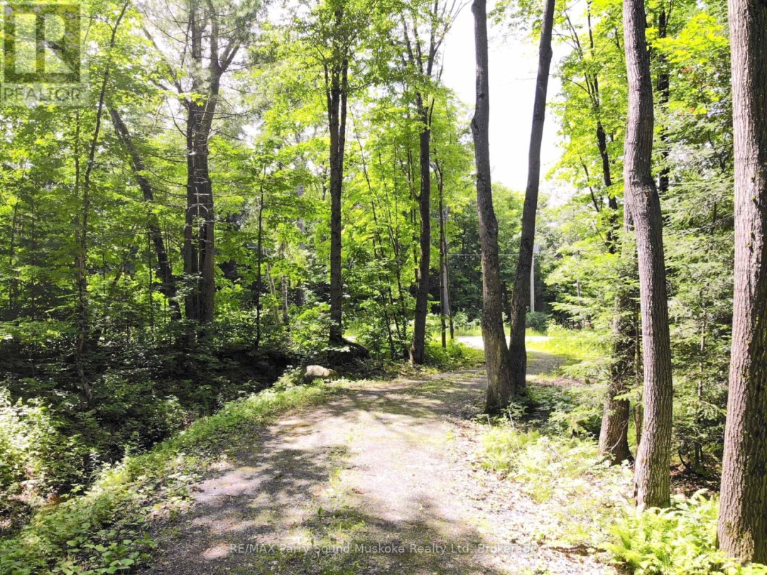 63 Sandy Plains Road, Seguin