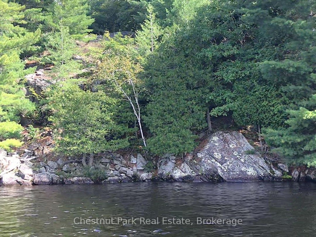 920 Big Island, Lake Vernon