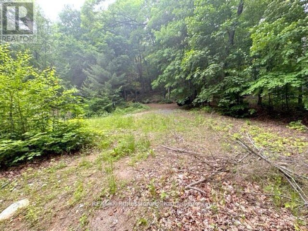 1167 LEON'S LANE, 