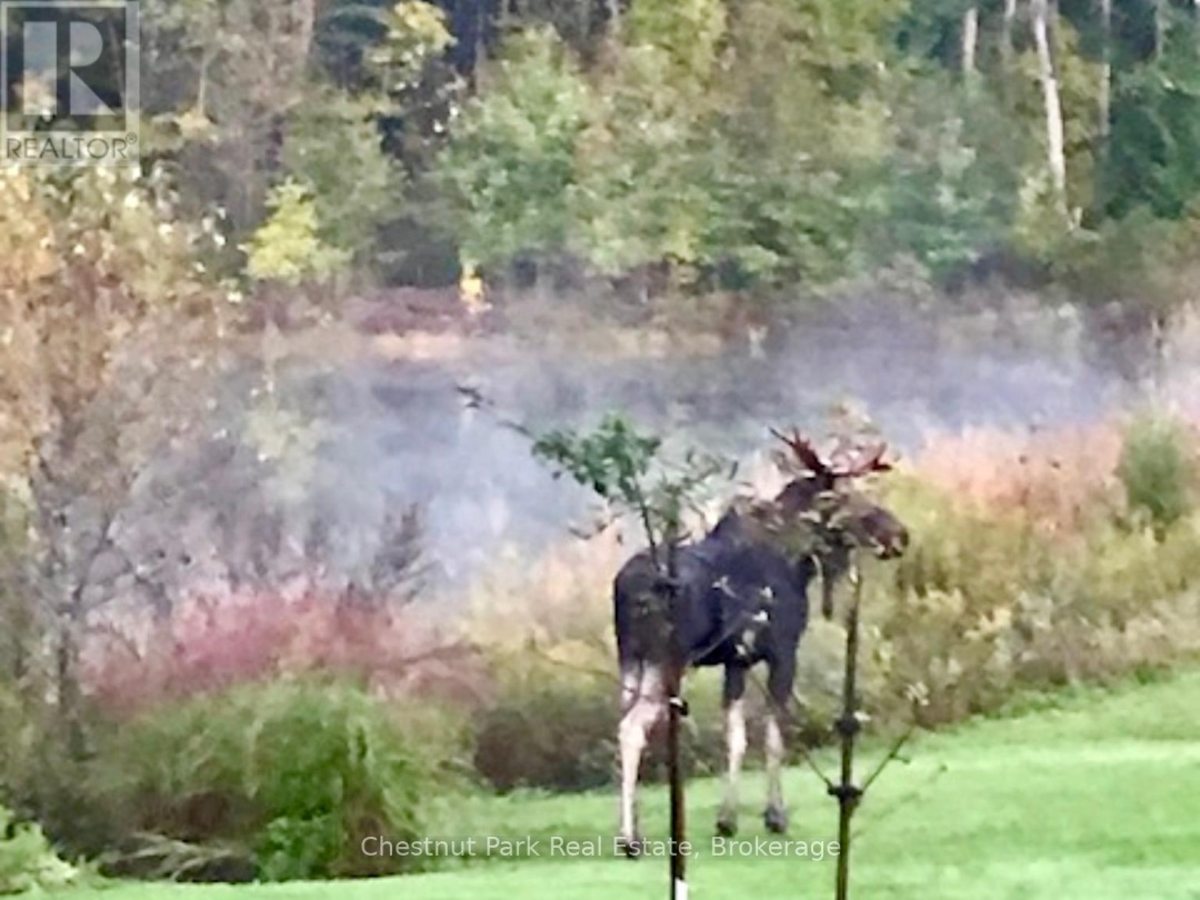 28 - 8 WILLIAM JAMES COURT, 