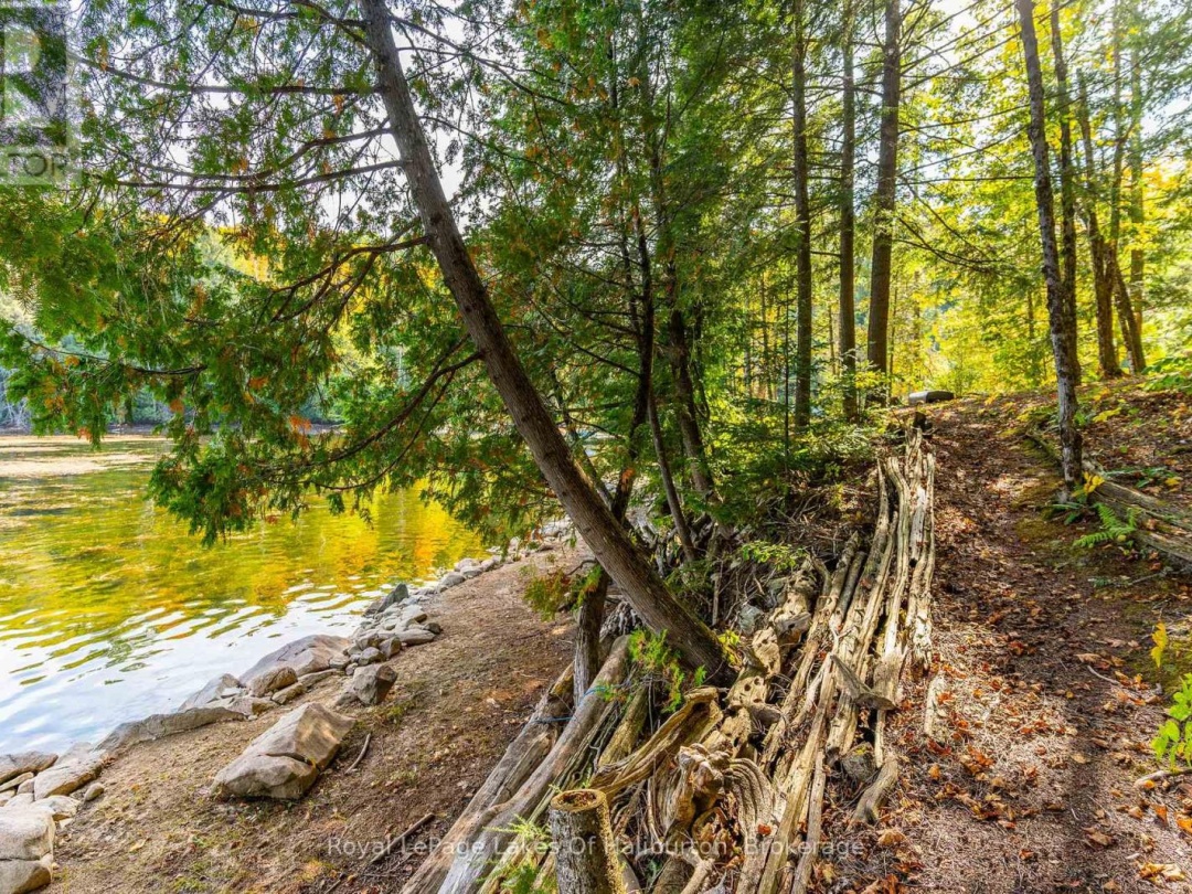 48 RUSSELL DRIVE, White Lake