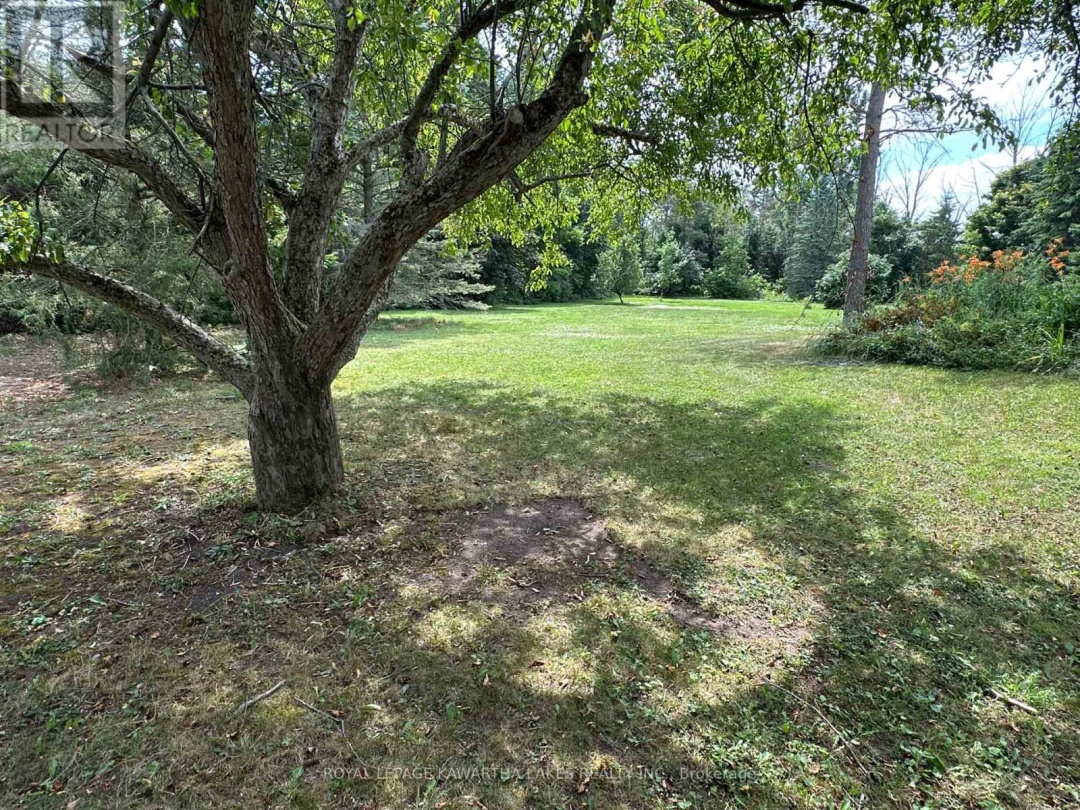 17288 SIMCOE STREET, 