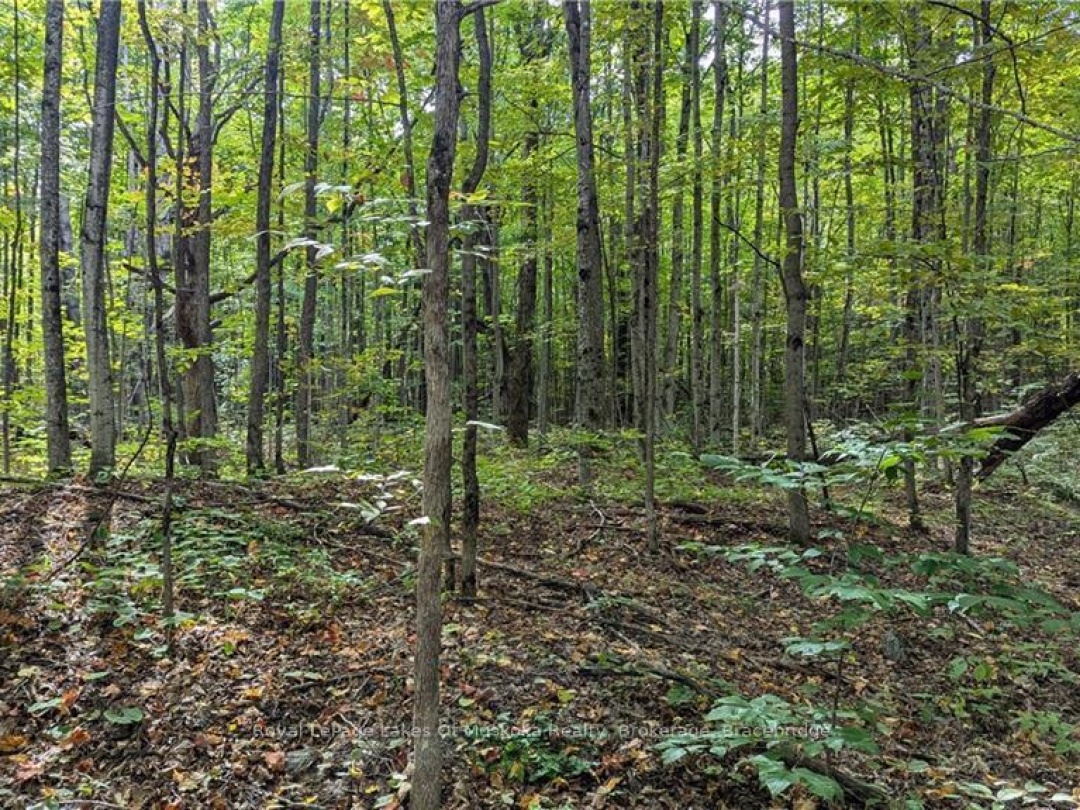 0 Mt St Louis Road, Oro-Medonte