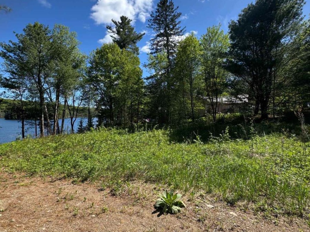 15180 HIGHWAY 118 HIGHWAY, Haas Lake