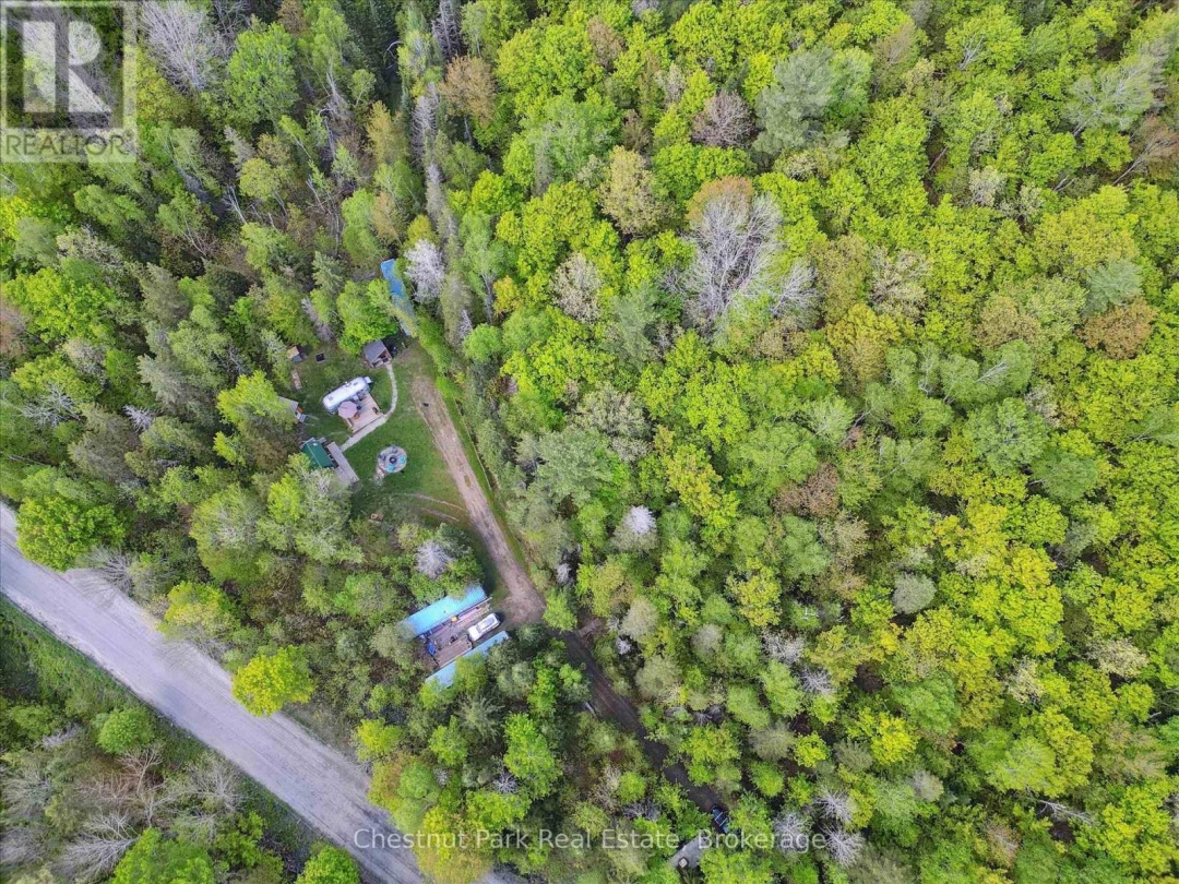216 BLACKWATER LAKE ROAD, Seguin