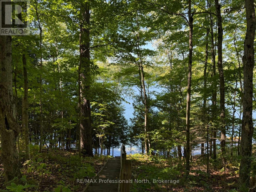 1025 MANITOU ROAD, Little Dudmon Lake