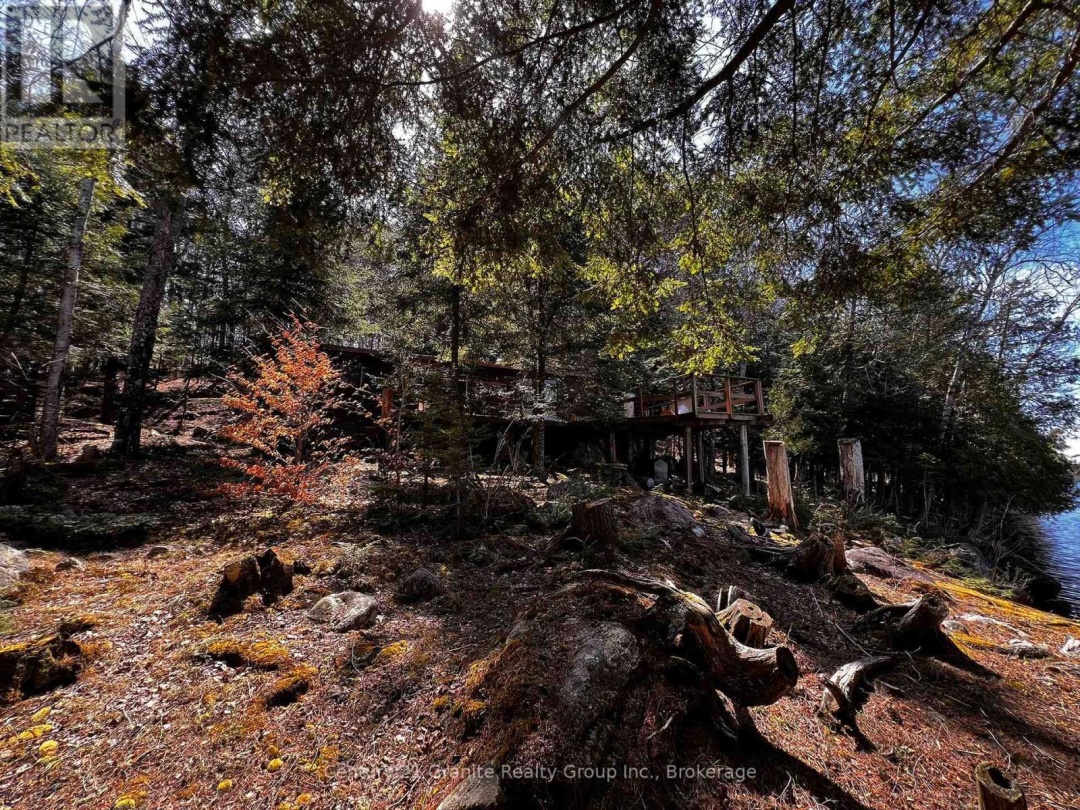 1208 Reg's Trail, Drag Lake