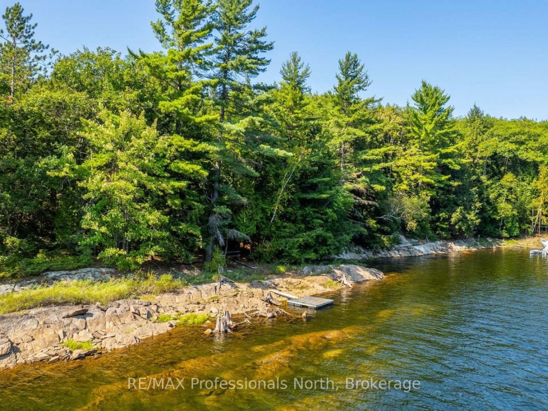 13055 LITTLE HAWK SOUTH SHORE ROAD, 