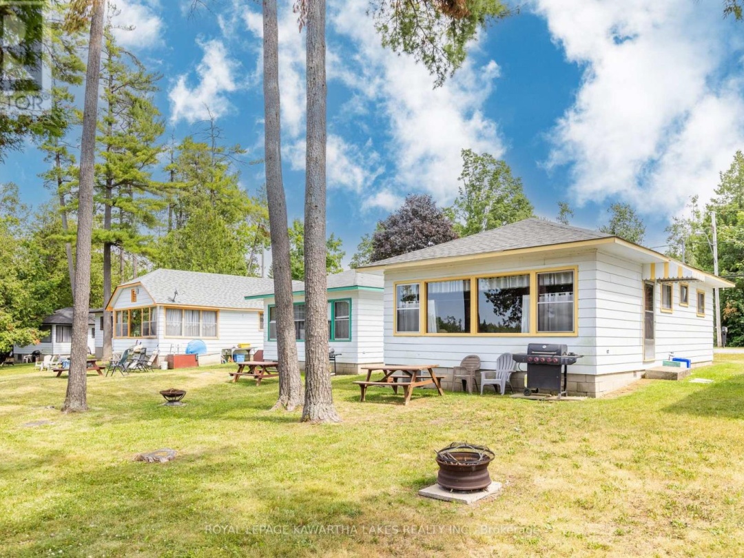 36 GOODMAN ROAD, 