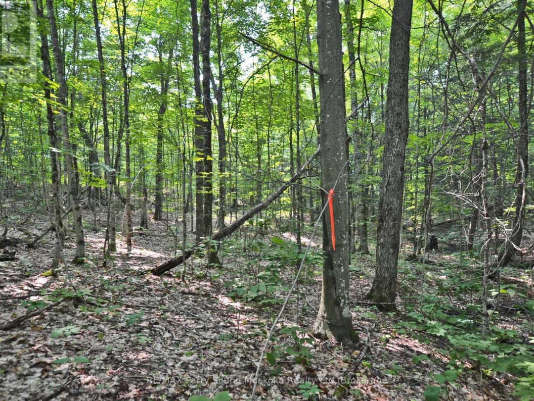 Part 2 0 Lyndsey Lane, McKellar