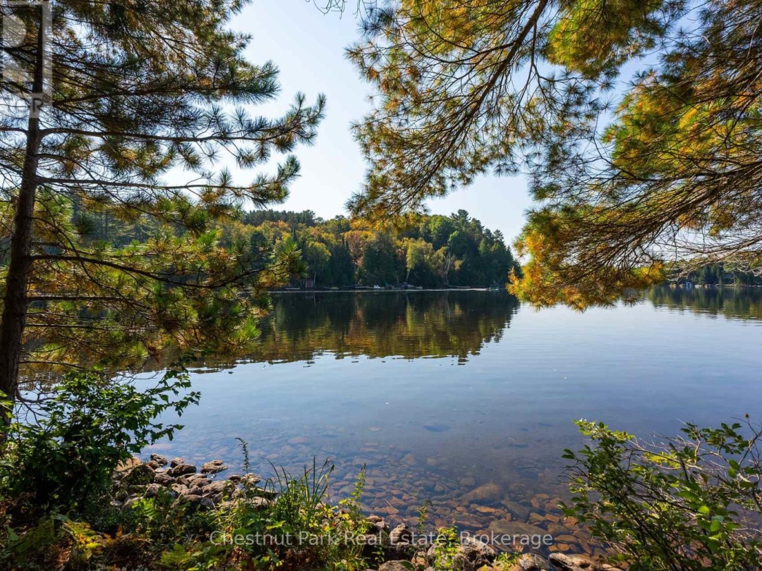 1000 Brown Island, Soyers Lake