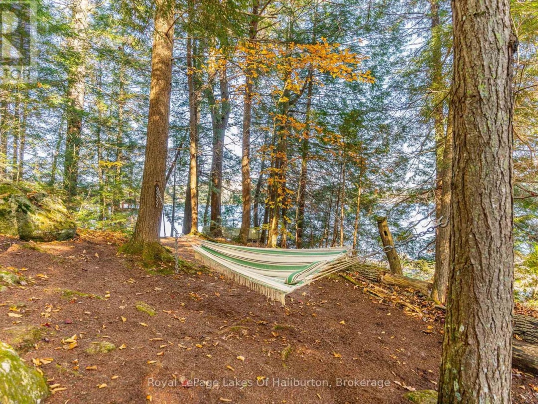 1017 Palace Drive, Little Kennisis Lake