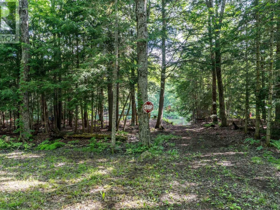 1139 SHERWOOD FOREST ROAD, 