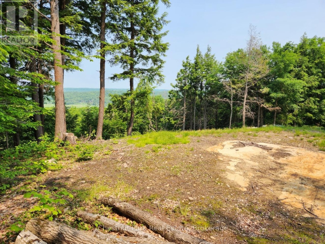 19 OLD HEMLOCK TRAIL, 
